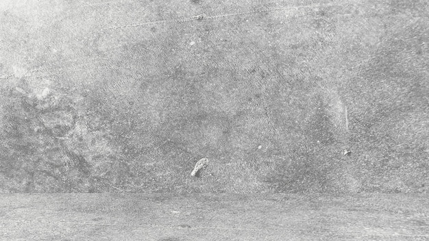 Photo image composite numérique d'un oiseau sur la neige