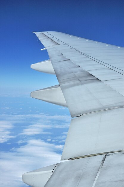 Image coupée d'un avion volant contre le ciel bleu