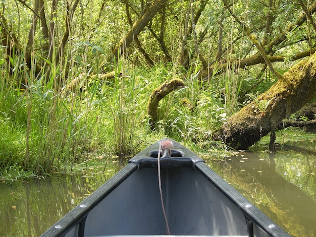 Photo image coupée d'un bateau sur une rivière dans la forêt