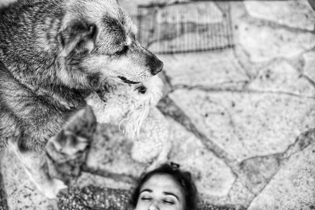 Image coupée d'une femme avec un chien sur un sentier