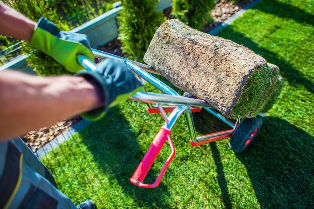 Photo image coupée d'un homme en jardinage dans la cour