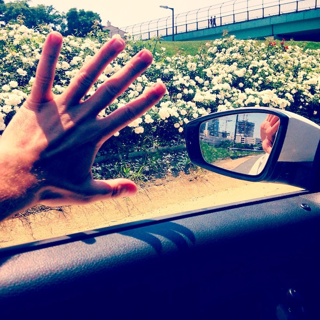 Photo image coupée de la main sur les fleurs vues depuis la fenêtre de la voiture