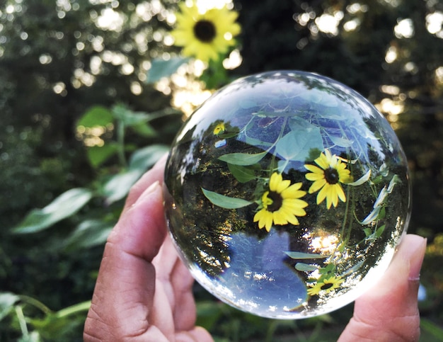 Photo image coupée d'une main tenant une boule de cristal