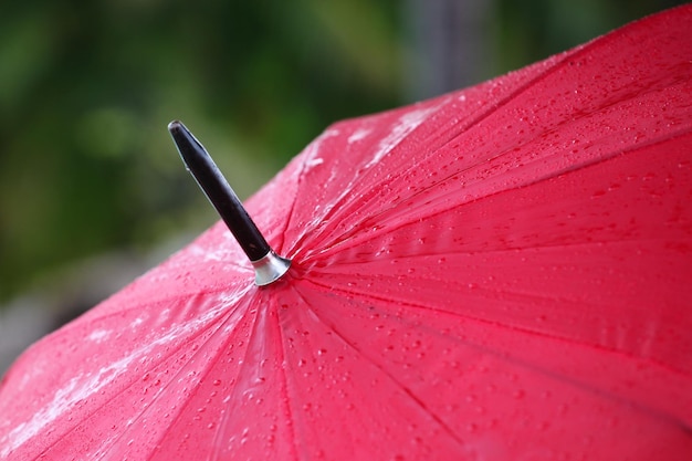 Image coupée d'un parapluie rouge mouillé