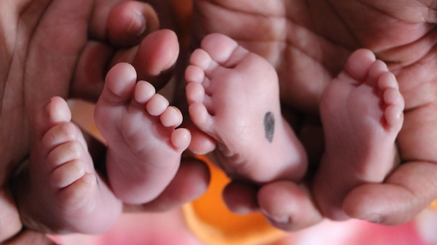 Image coupée de parents tenant les pieds de leurs enfants