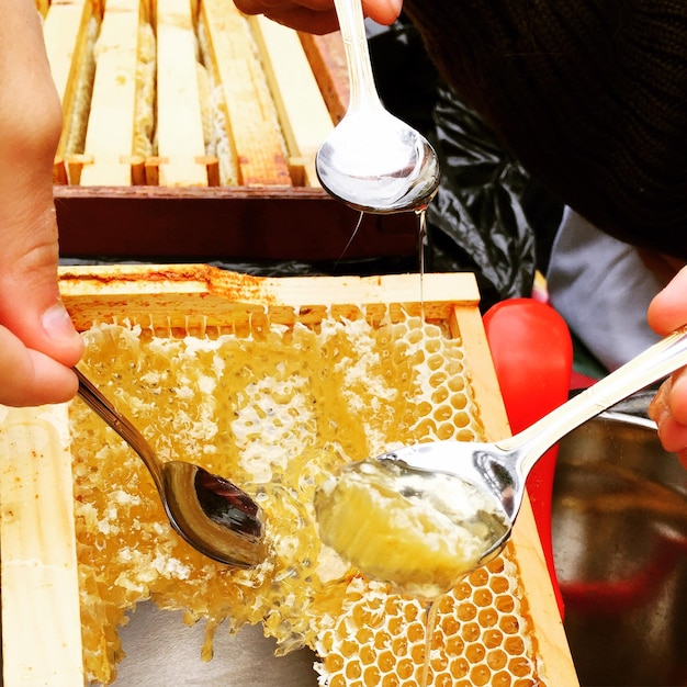 Photo image coupée de personnes tenant une cuillère avec une ruche