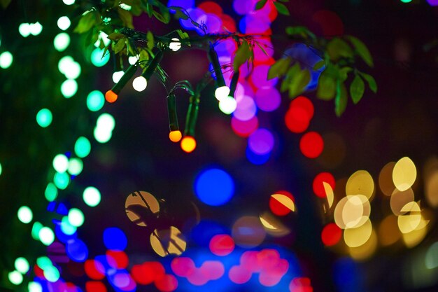 Image défocalisée des lumières de Noël