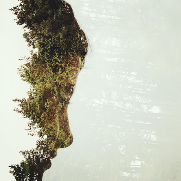 Image en double exposition de la femme et de la forêt