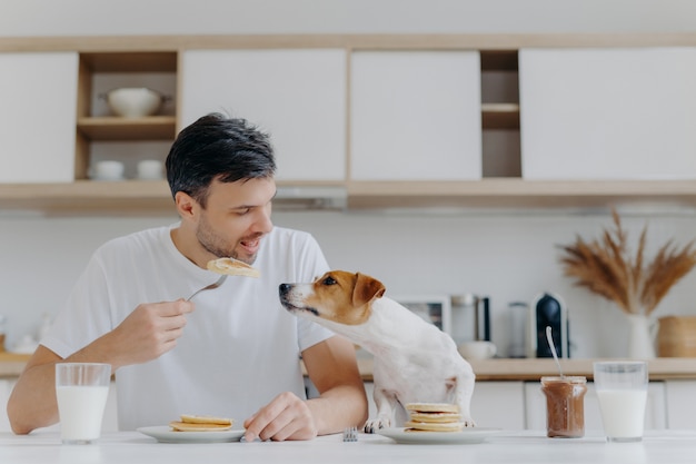 Image du beau homme en t-shirt blanc décontracté, mange de délicieux pancakes, ne partage pas avec son chien, pose contre la cuisine, s'amuse, boit du lait au verre. Notion de l'heure du petit déjeuner. Dessert sucré