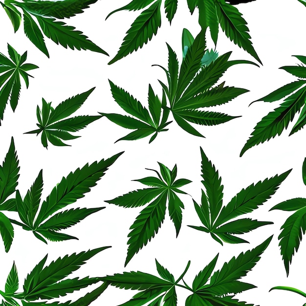Une image du cannabis pour la recherche sur le cannabis