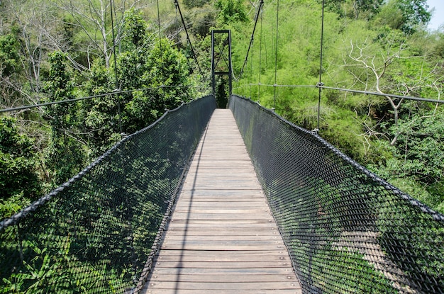 Une image du pont de câble dans la jungle