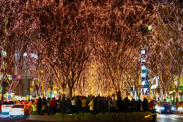 Photo image du spectacle de la lumière de sendai