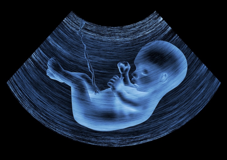 Photo image échographique de bébé dans le ventre de sa mère