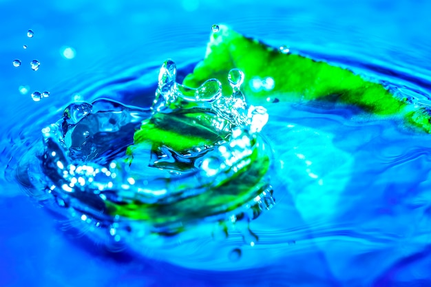 Image d'éclaboussure de goutte d'eau près de la feuille verte dans l'eau.