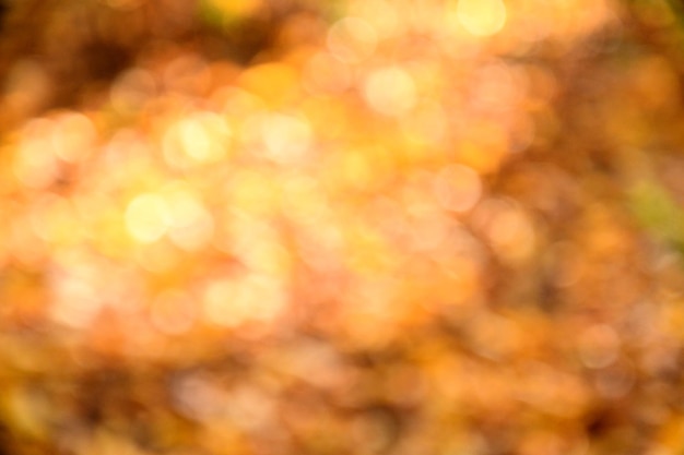 Photo une image floue d'un arbre aux feuilles jaunes à l'automne.