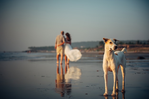 Image floue de couple heureux marchant sur la plage. Au premier plan, un chien se tient sur le sable. L'homme et la femme dans une étreinte sont enlevés le long du bord de mer. Concept de vacances