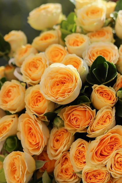 Photo image de fond d'un bouquet de roses en forme de pivoine jaune avec écorce de bouleau vert un bouquet de luxe