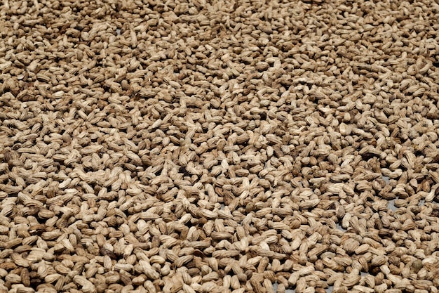 Image de fond de cacahuètes