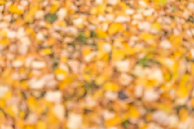 Image de fond colorée des feuilles d'automne tombées parfaites pour une utilisation saisonnière.