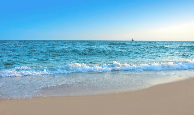 L'image de fond est la mer et le sable