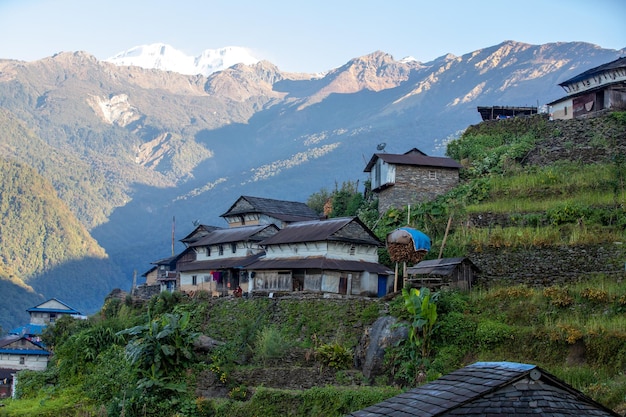 Image Gangtok