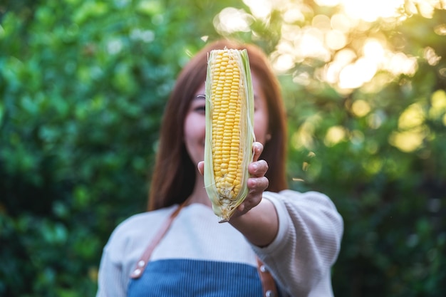 Image en gros plan d'une femme tenant et montrant du maïs sucré