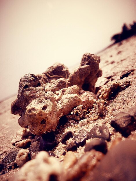 Photo image inclinée d'un rocher sur la plage contre le ciel par une journée ensoleillée