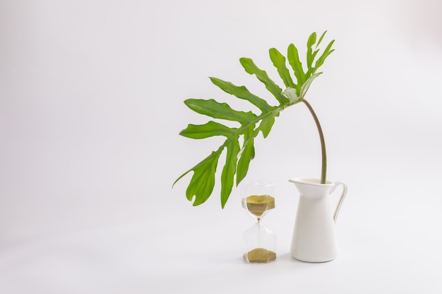 Image intérieure d'une table blanche avec une plante verte sur un mur blanc