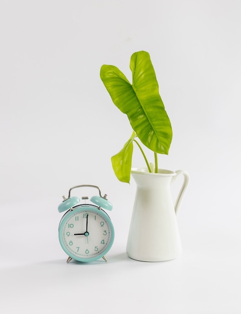 Image intérieure d'une table blanche avec une plante verte sur un mur blanc