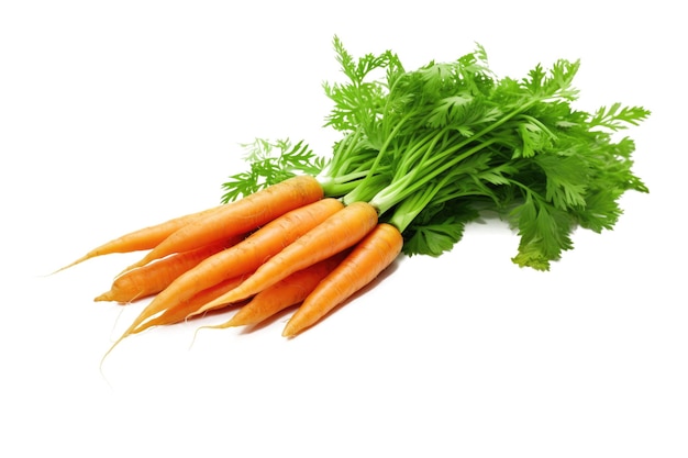 Une image isolée d'un tas de carottes fraîches et biologiques présentées sur un fond blanc immaculé, parfaite pour mettre en valeur les bienfaits sains de ce génératif d'IA végétale saine