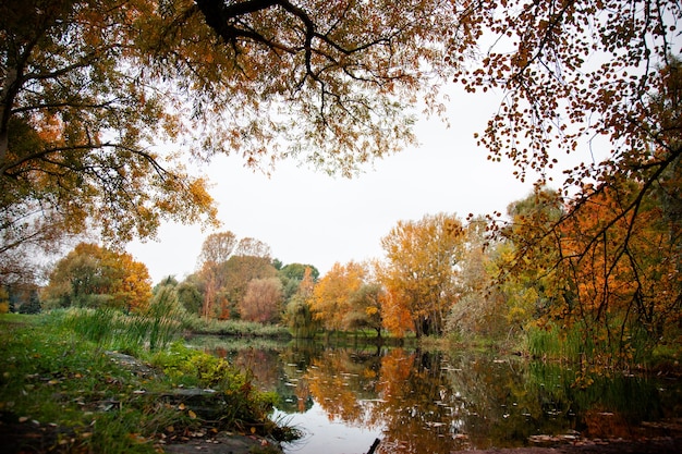 Image avec un jour de pluie en automne