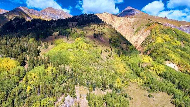 Image de la montagne géante de trembles et de pins d'automne