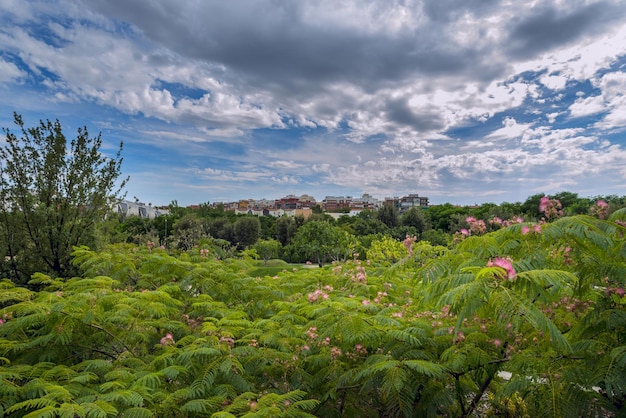 Une image panoramique d'un parc urbain avec beaucoup de végétation