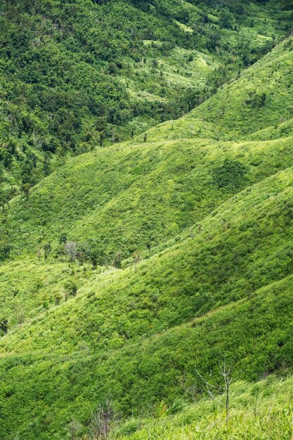 Image de paysage d'une belle vue sur les chaînes de montagnes