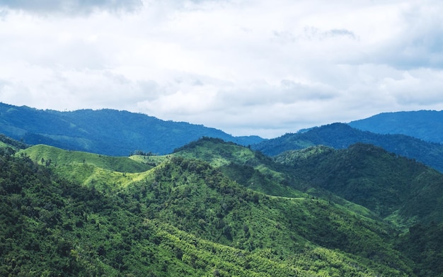 Image de paysage d'une belle vue sur les chaînes de montagnes