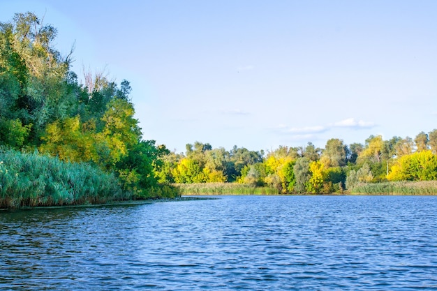 Image de paysage d'une grande végétation riveraine