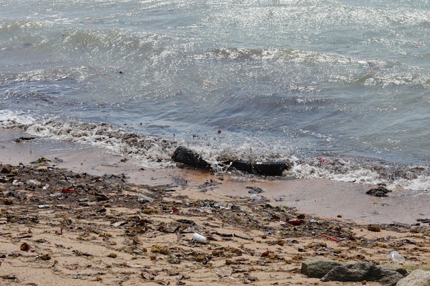 Image d'une plage sale remplie de bouteille d'eau en plastique vide et de la pollution en plastique, des ordures et des déchets sur une plage de sable sale et personne