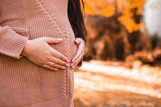 Image recadrée d'une femme enceinte debout dans le parc de la ville d'automne, montrant l'amour du signe du coeur