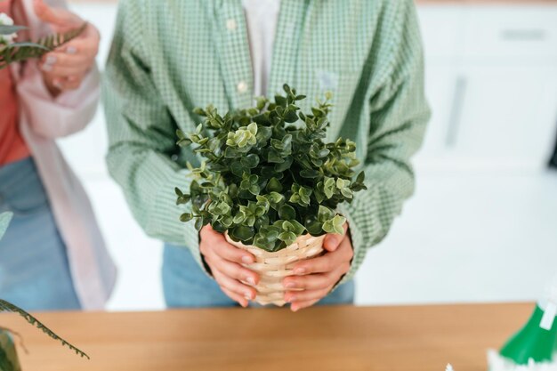 Image recadrée jeune femme tenant une plante en pot
