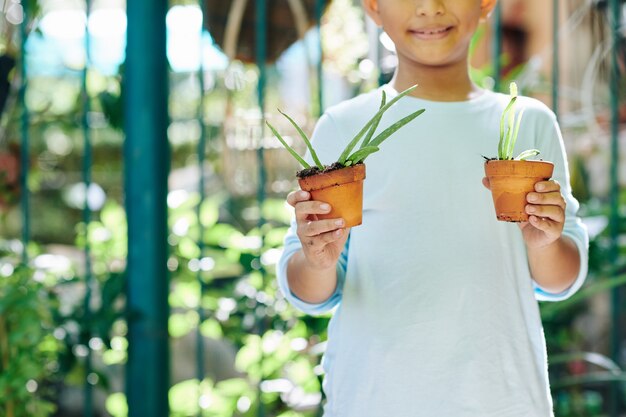 Image recadrée de sourire heureux garçon montrant deux pots avec des plantes d'aloe vera