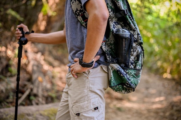 Image recadrée d'un voyageur asiatique avec sac à dos et matériel de trekking dans la forêt