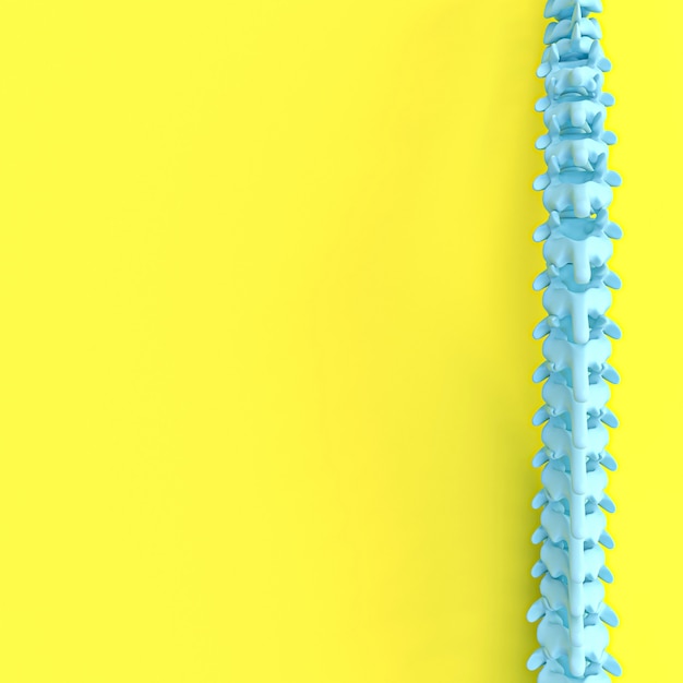 Image de rendu 3D d'une colonne vertébrale sur un fond jaune.