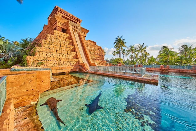 Image de requins dans un réservoir ouvert avec un grand temple maya rouge en arrière-plan et un toboggan