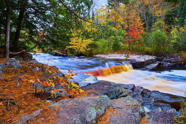 Image d'une rivière avec une petite cascade ou des rapides et des branches d'arbres démesurées avec des couleurs d'automne et des aiguilles de pin sur des pierres