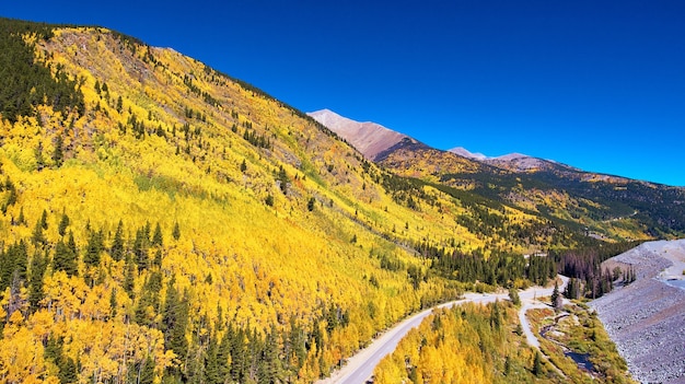 L'image de la route à côté de beaux trembles à l'automne est devenue jaune d'or