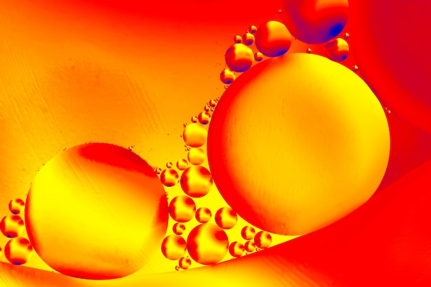 Image scientifique de la membrane cellulaire.