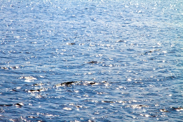 image de la surface de l'eau de la rivière avec des vagues et des reflets du soleil