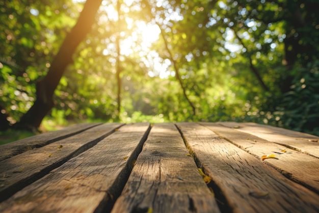 L'image de la table en bois au milieu de la forêt dans un aigx de jour