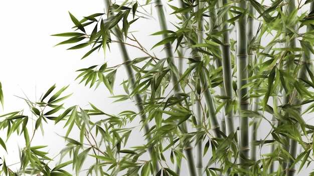 Image ultra réaliste de l'arbre de bambou Ai Generative