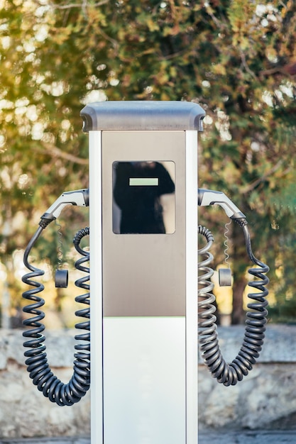 Image verticale d'un chargeur de voiture électrique avec deux prises Image avec une faible profondeur de champ